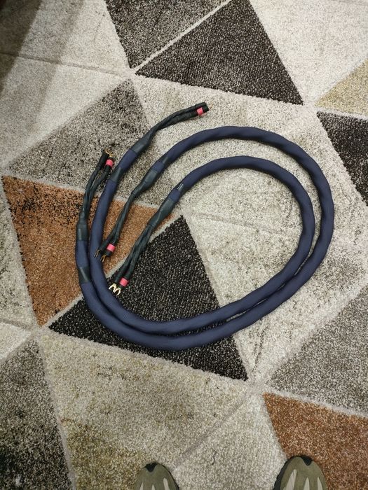Kubala Sosna Emotion speaker cable