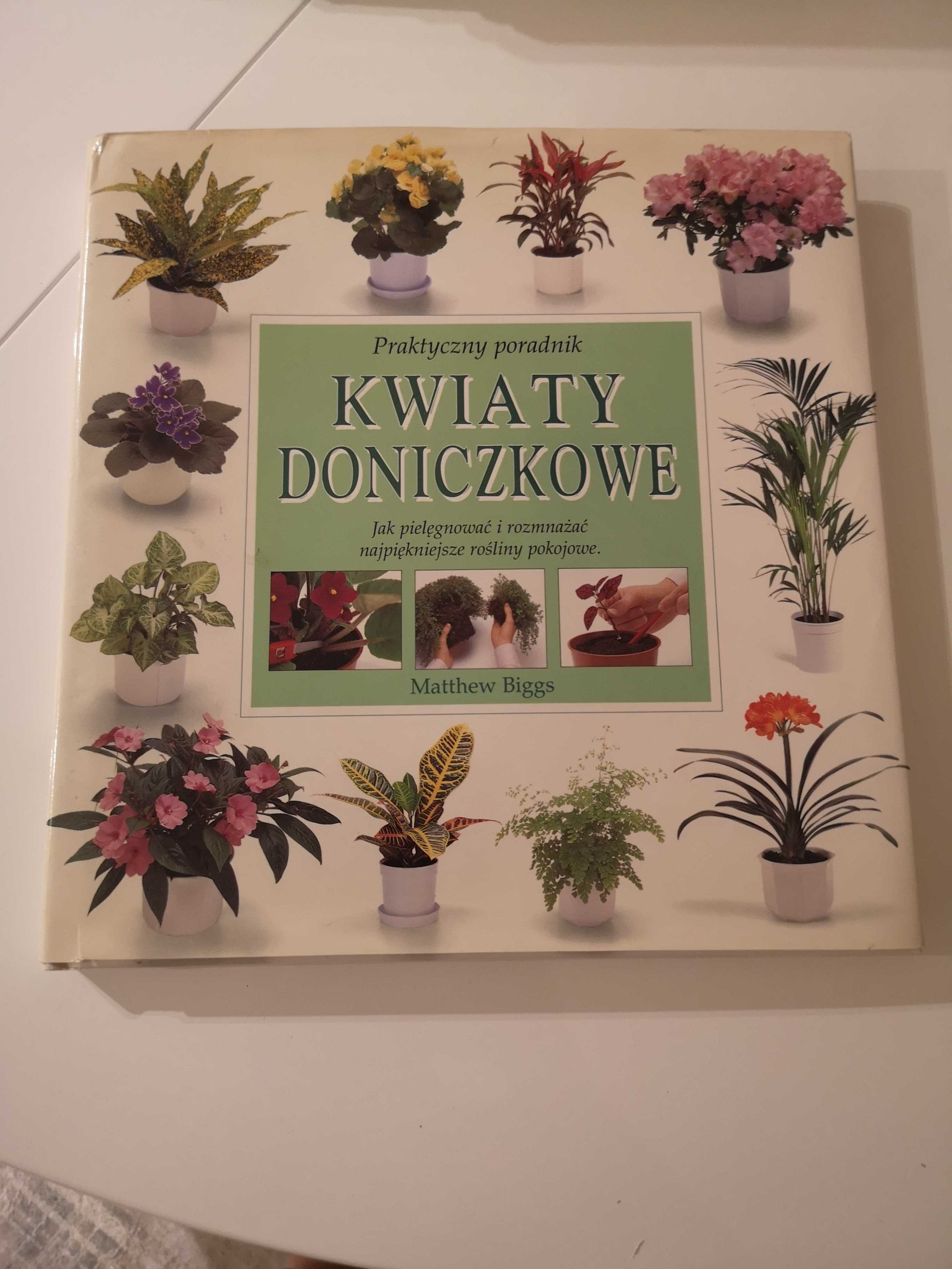 książka Kwiaty doniczkowe