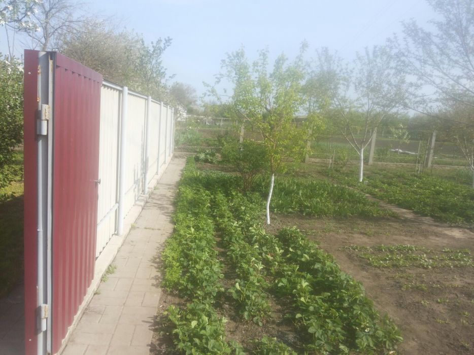 Продам Участок 26 соток с Домом в с.Соколовка (Васильковский р-н)