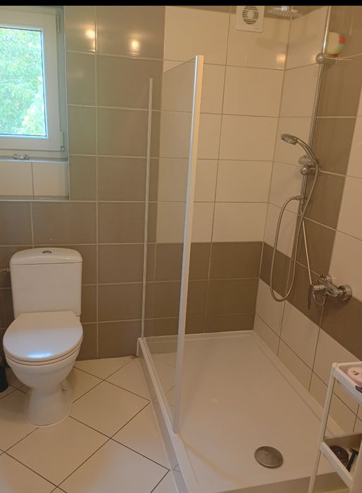Wynajmę dom ,okolice Złoczewa
