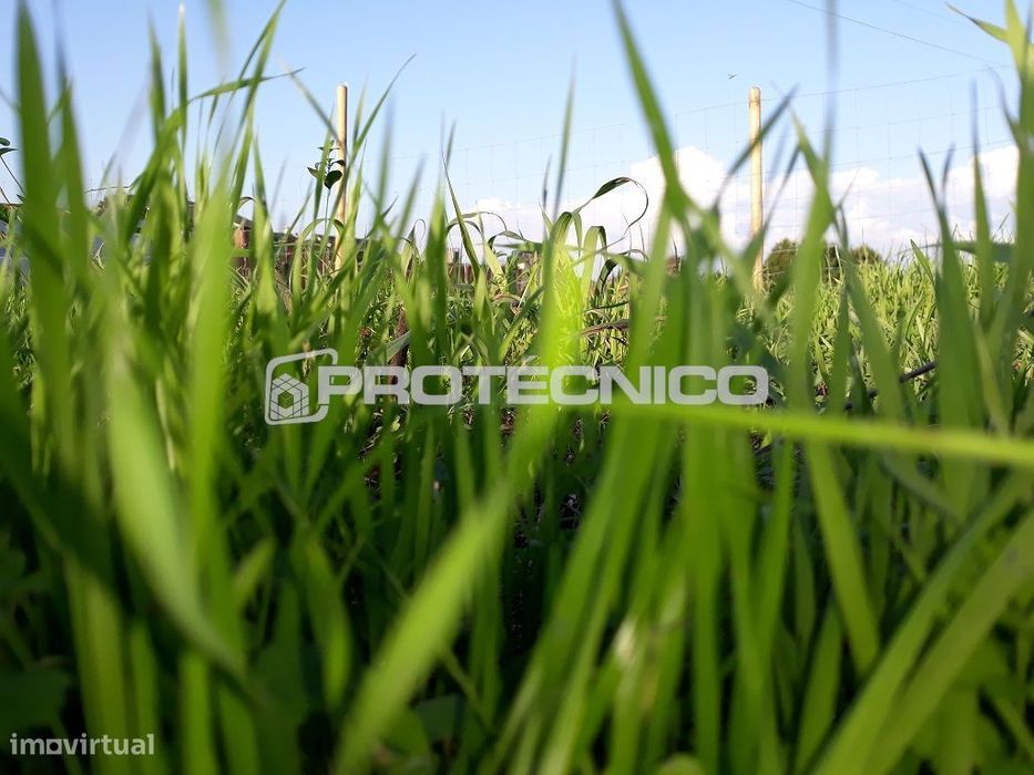 Terreno com 20m de frente - Sarrazola