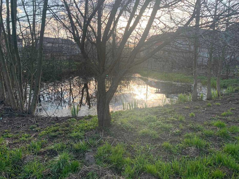 Продається будинок та земельна ділянка. Ідеальне розташування.