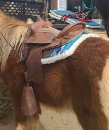 Nowy kucykowy pad western pony