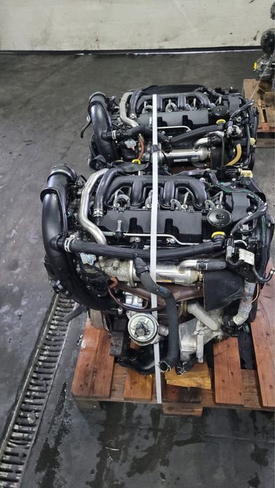 Peugeot Delphi Silnik Kpl 2.0 Hdi RHF RHO1 RHR 10DYXH Euro4 4mies gwar