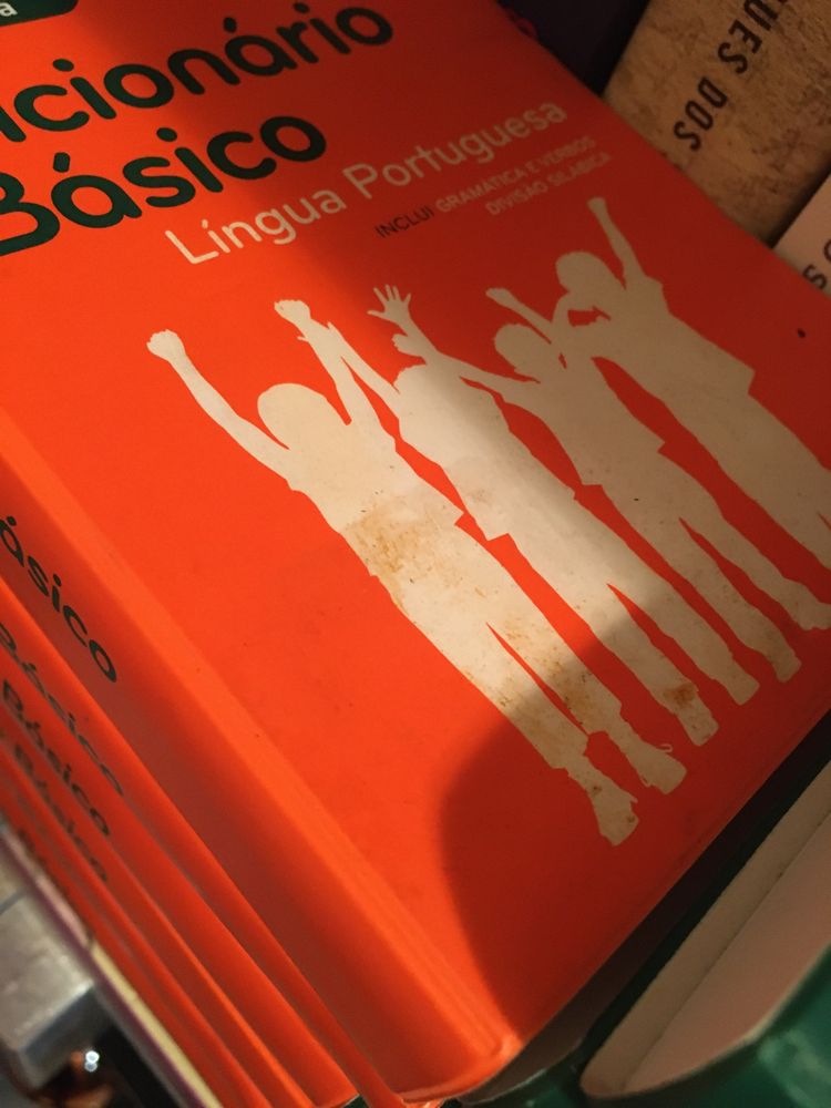 Dicionario Basico 1ciclo - novo