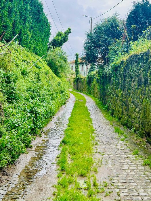 Casa Bus transformado