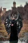 Skrzydła Diaboliny Malificent cosplay