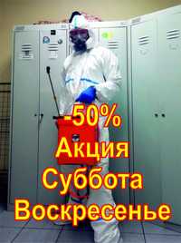 Уничтожение Травля Потравить Тараканов Прусаков Клопов Блох Комаров