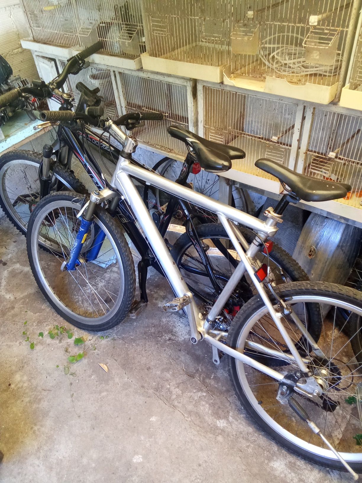Bicicleta de montanha