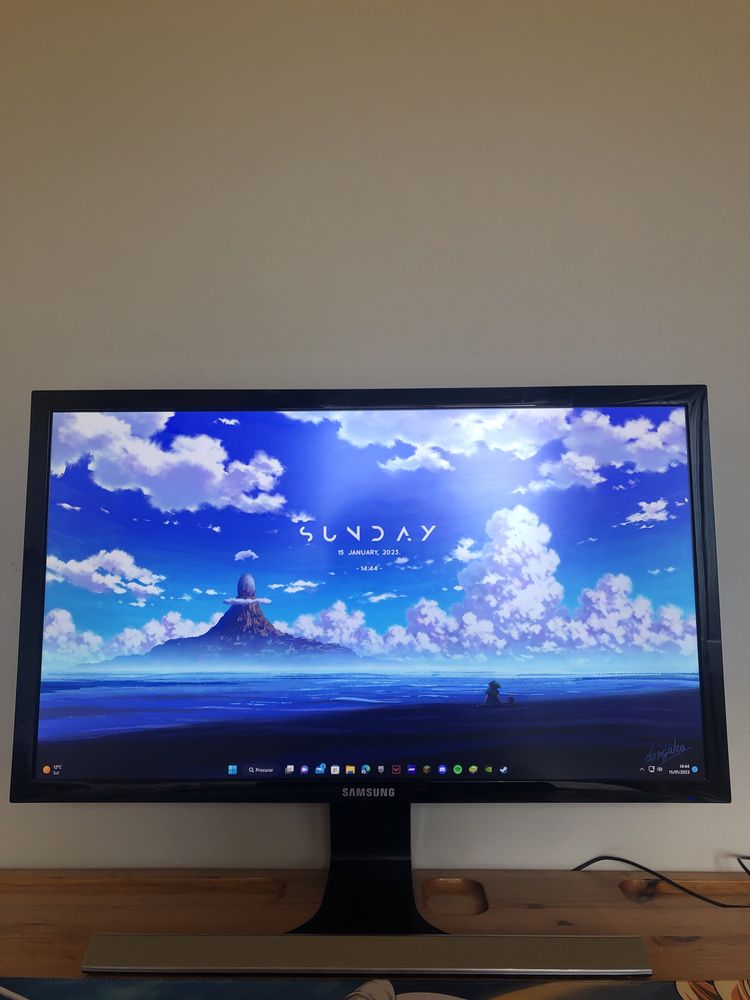 Monitor Samsung 4K (U24E590D)