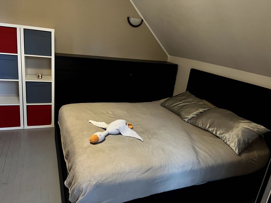 Двухместная комната Варшава Новый Хостел Говорим по-русски UA Hostel