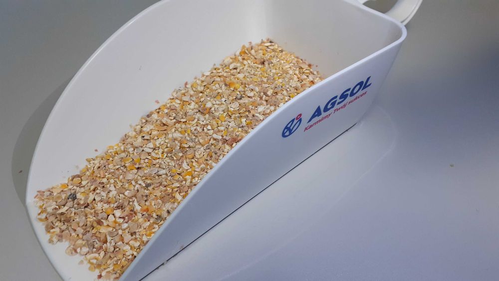 Kukurydza ziarno kiszone gniecione Corn Energy - cena brutto z dostawa