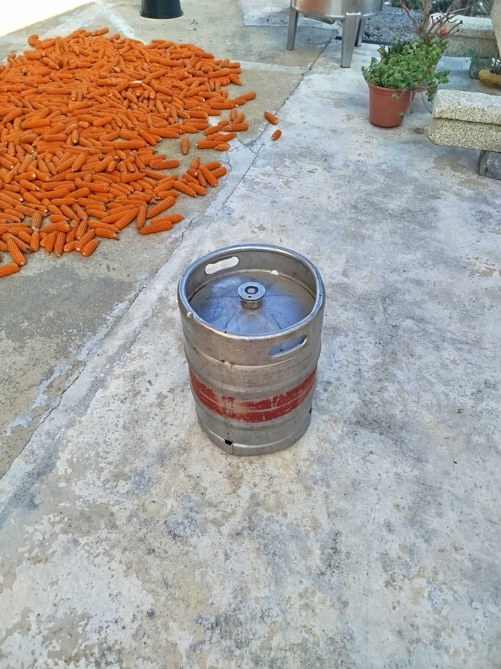 Barril inox 50 l