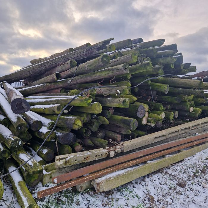 Słupy drewniane telefoniczne
