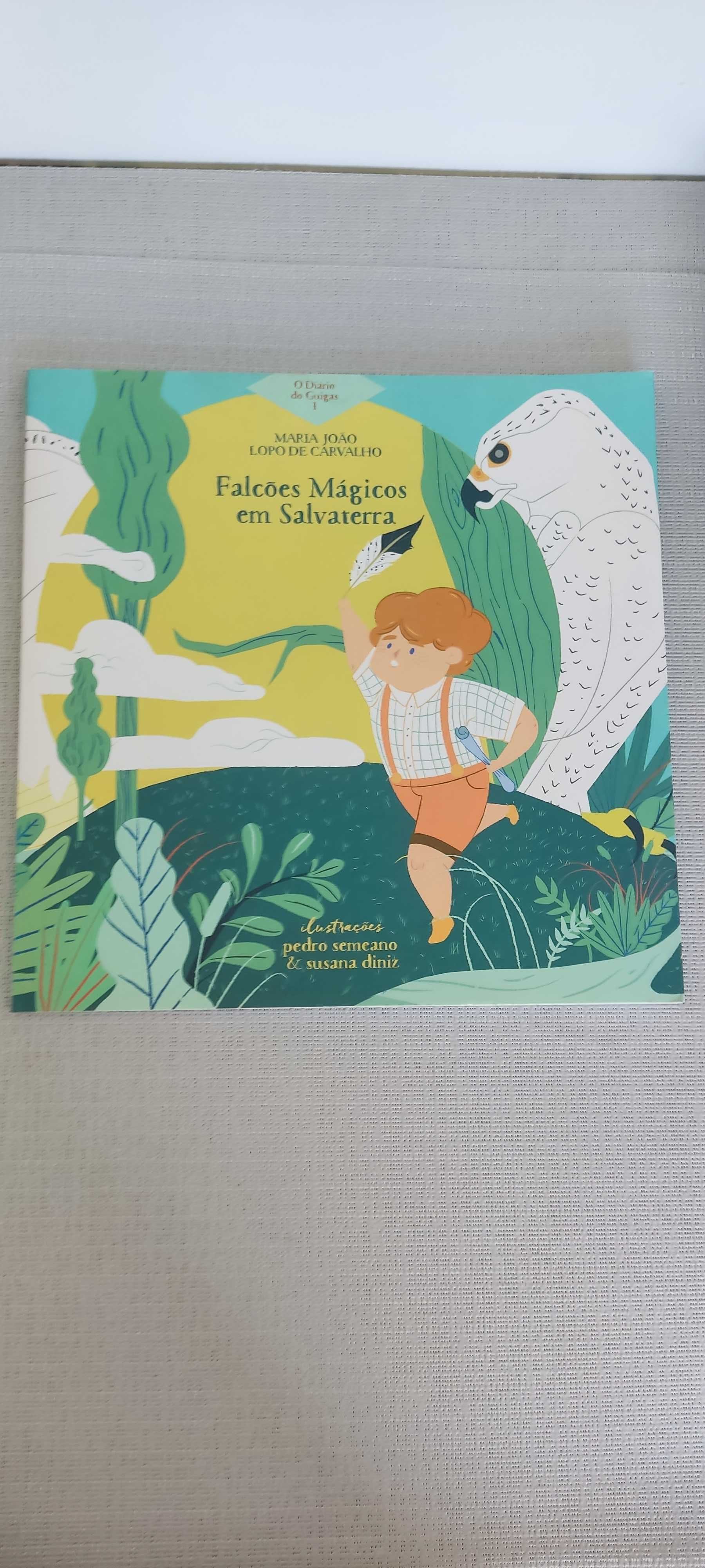 Livro "Falcões Mágicos em  Salvaterra"