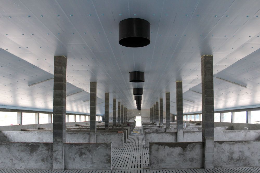 Sufit Strop do Tuczarni Błękitne Panele Izolacyjne Styrodur XPS AGRO