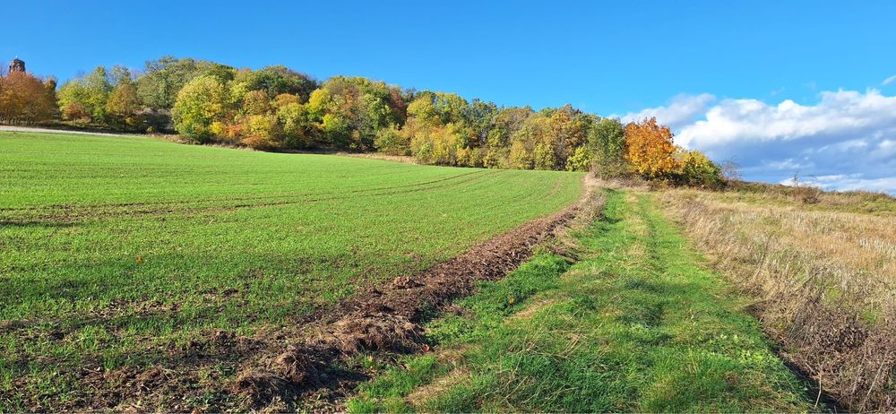 Dzisłki budowlane na sprzedaż