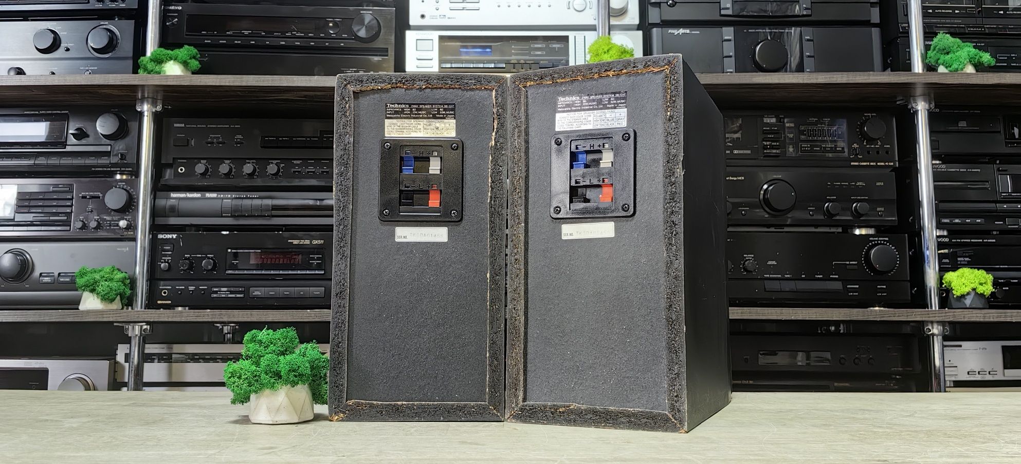 2-х полосна акустика Technics SB-CH7/6Ω