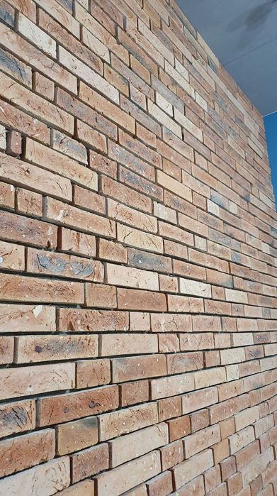 Płytki ze starej cegły, środki, różne odcienie. Loft-Styl
