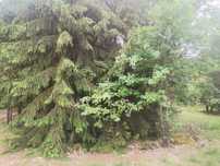 Sprzedam działki pod rekreację Pianki 736.012.013