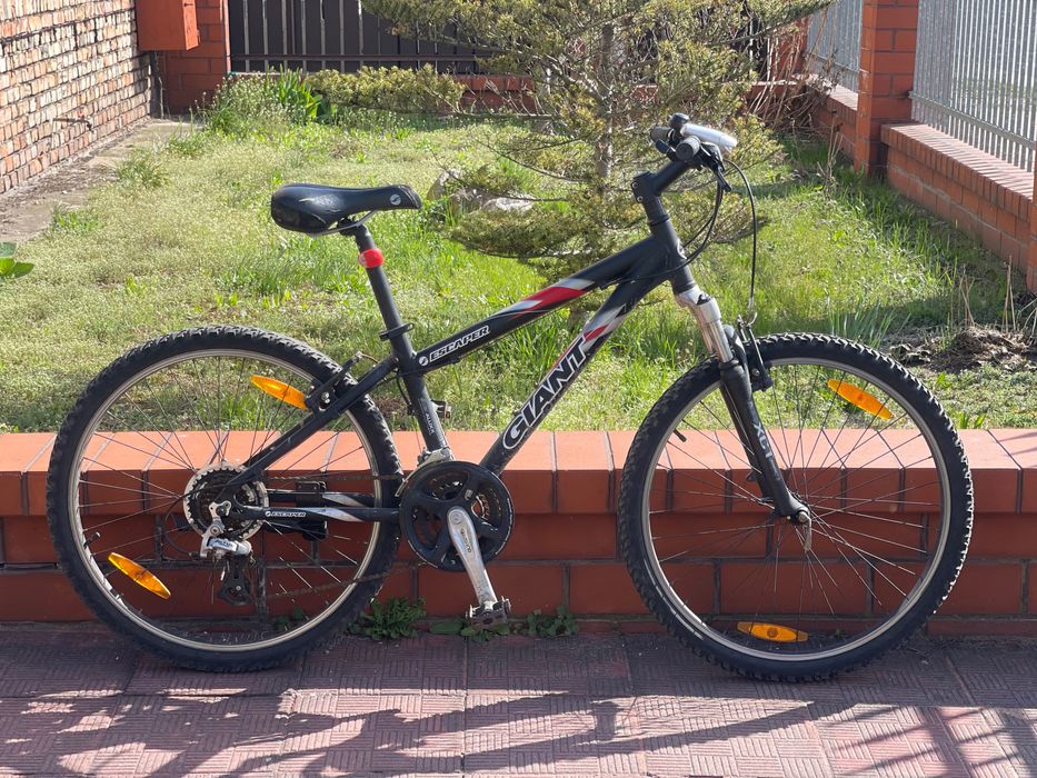 Rower Giant Escaper XS