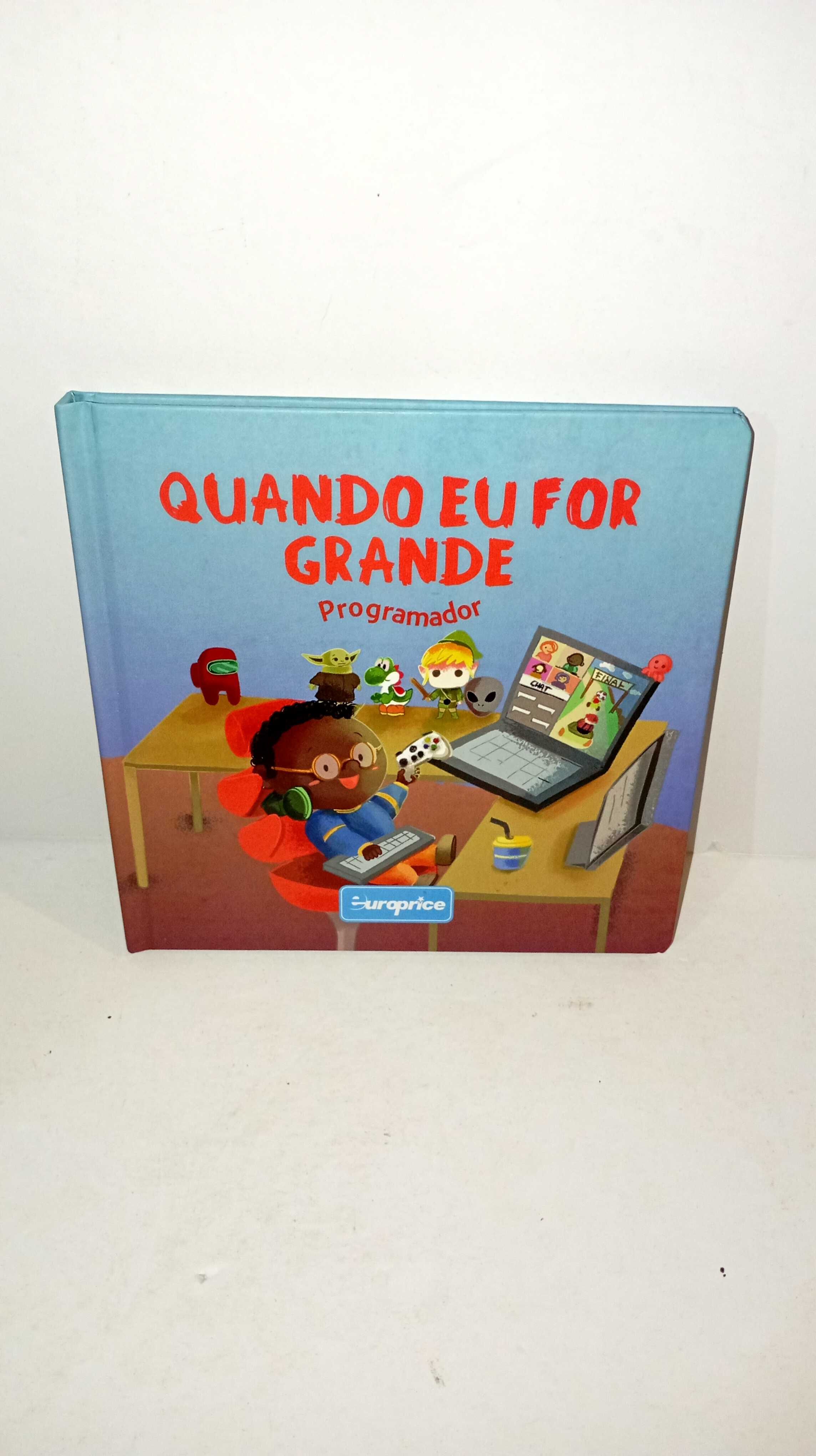 Quando eu for Grande: Programador