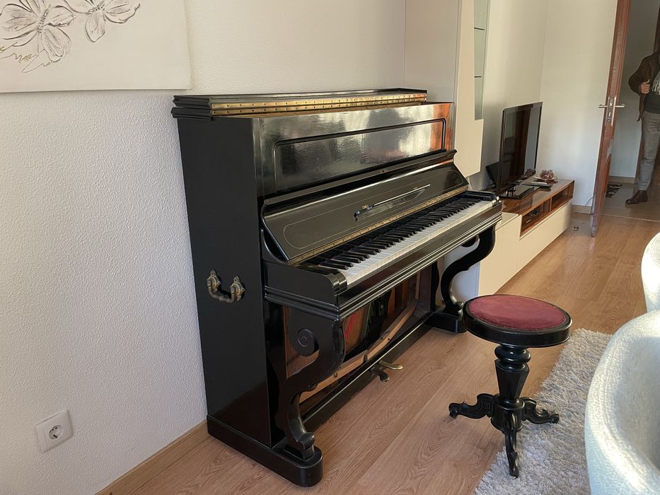 Piano Acustico Gaveau