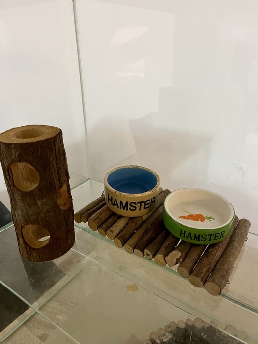 Akwarium Chomika Syryjskiego + akcesoria komplet