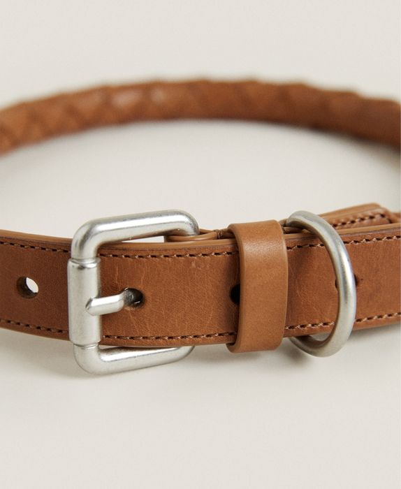 Coleira Entraçada Para Animais De Estimação Zara Home NOVO