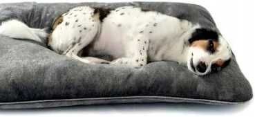 Poduszka Legowisko Dla Psa Kota Nowe 70cm x 60cm Nr00541