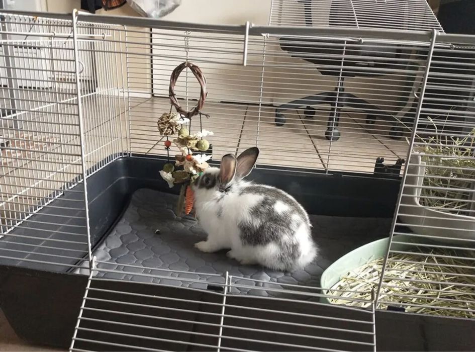 Поглинаючі багаторазові пелюшки для тварин. L 50х69