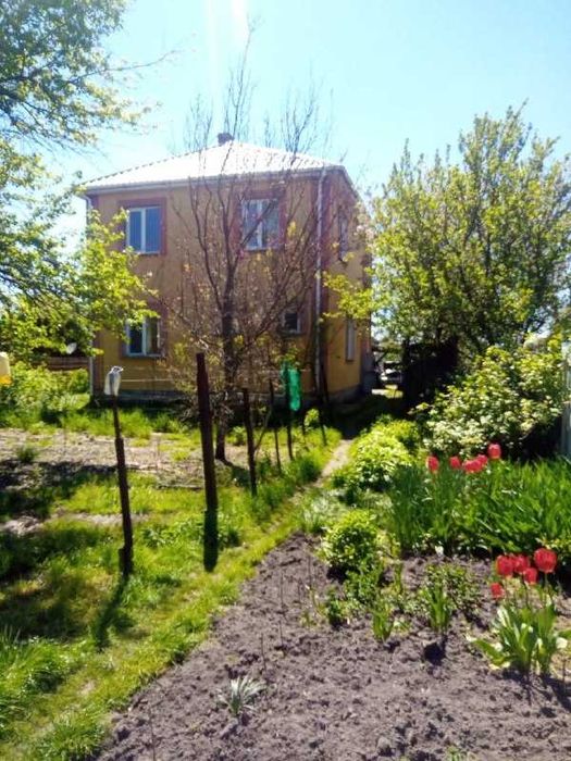 Гоголів, будинок та земельна ділянка 38 соток