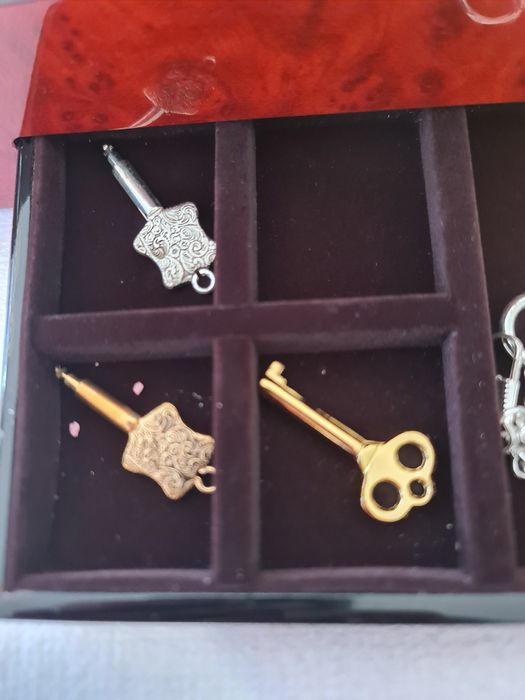 Coleção de relogios de bolso