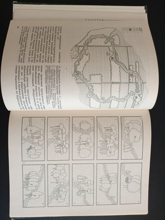 Проектирование современных загородных парков