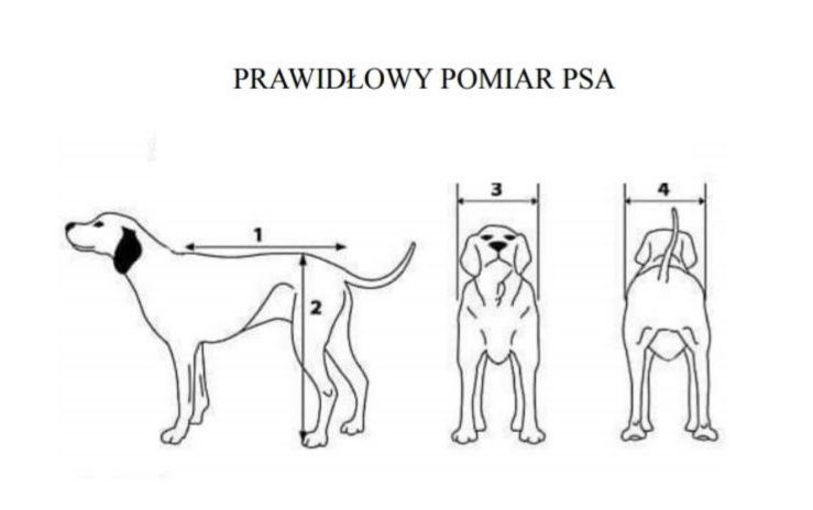 Wózek inwalidzki dla psa 4 kołowy średni