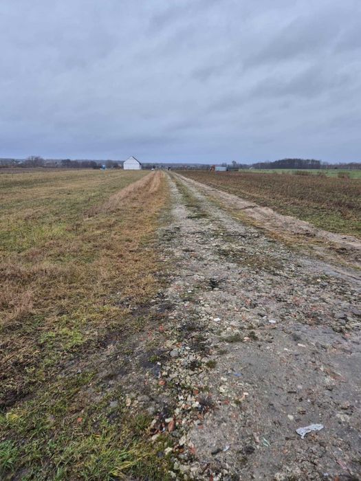 Działka rolna (zagrodowa), Wola Prażmowska, 0,3 ha