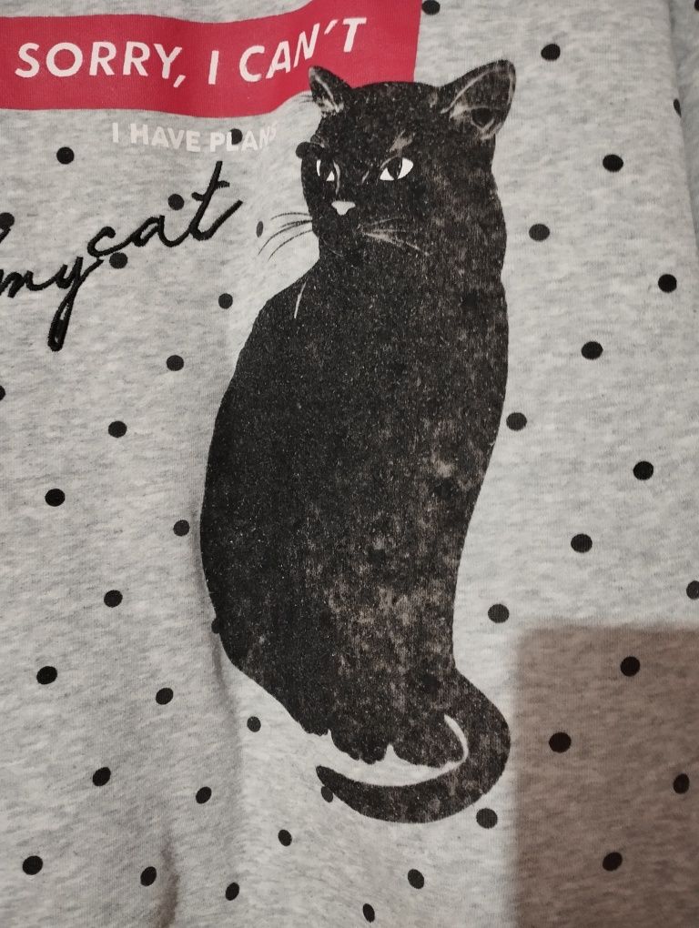 Bluza z kotem szara