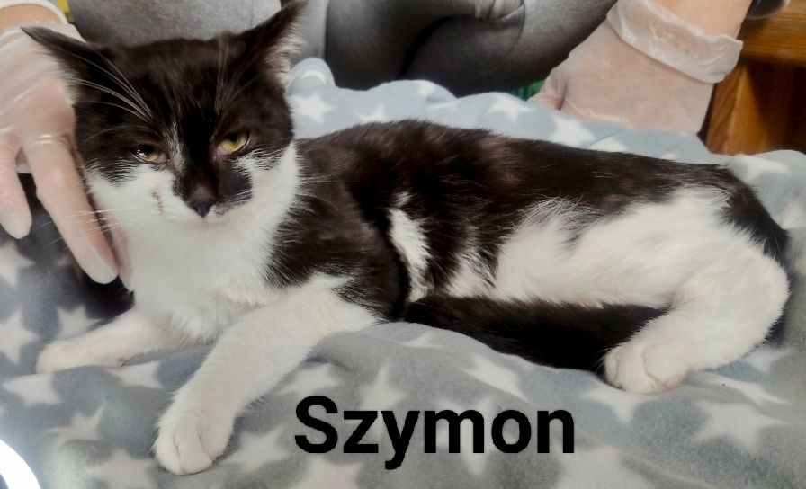 Szymuś błaga o szansę i dom ...