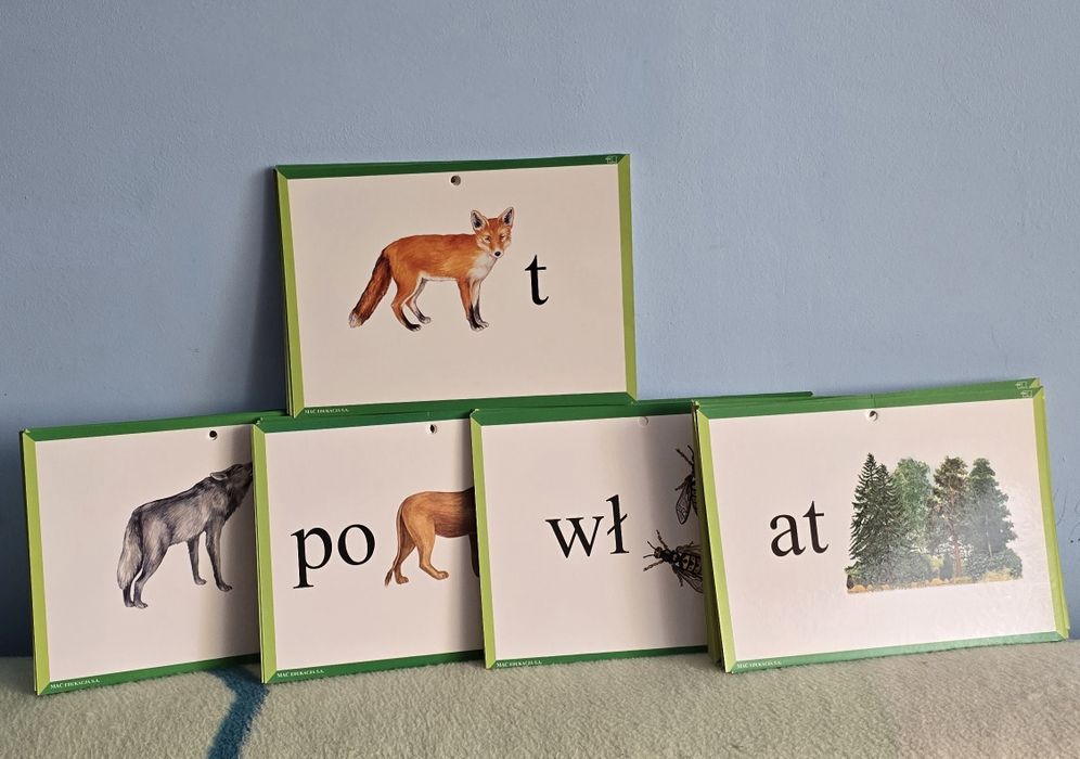 Pomoce dydaktyczne karty 95 sztuk