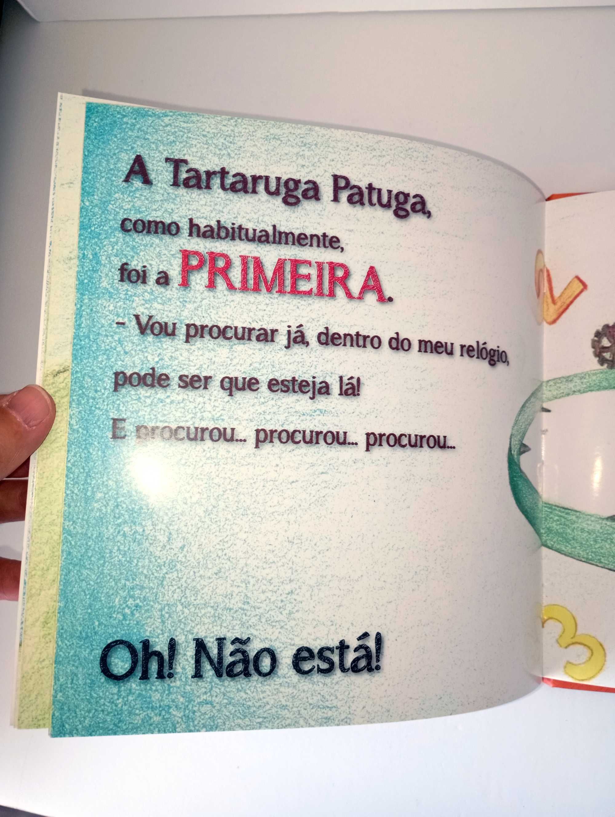 A Tartaruga Patuda