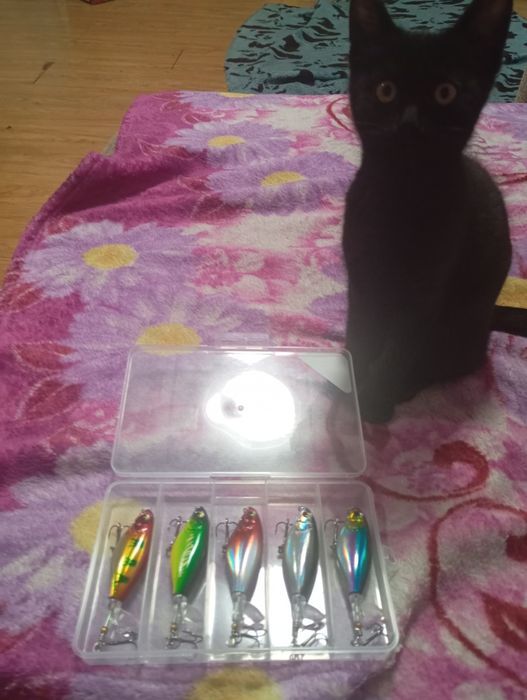 Воблеры 5шт, в идеальном состоянии