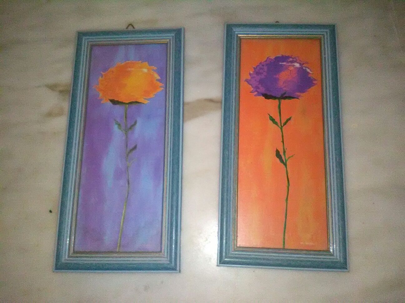 Conjunto de 5 Quadros Flores