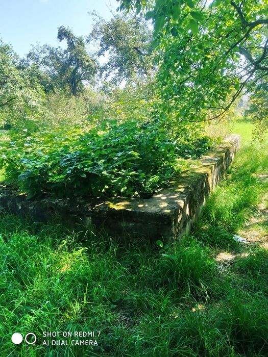 Земельна ділянка Косів