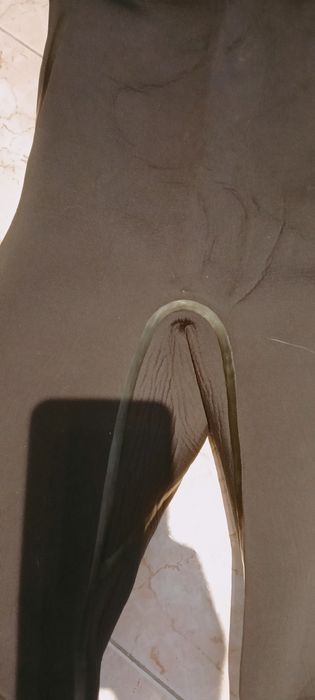 Fato Needessentials 4/3 selagem líquida M