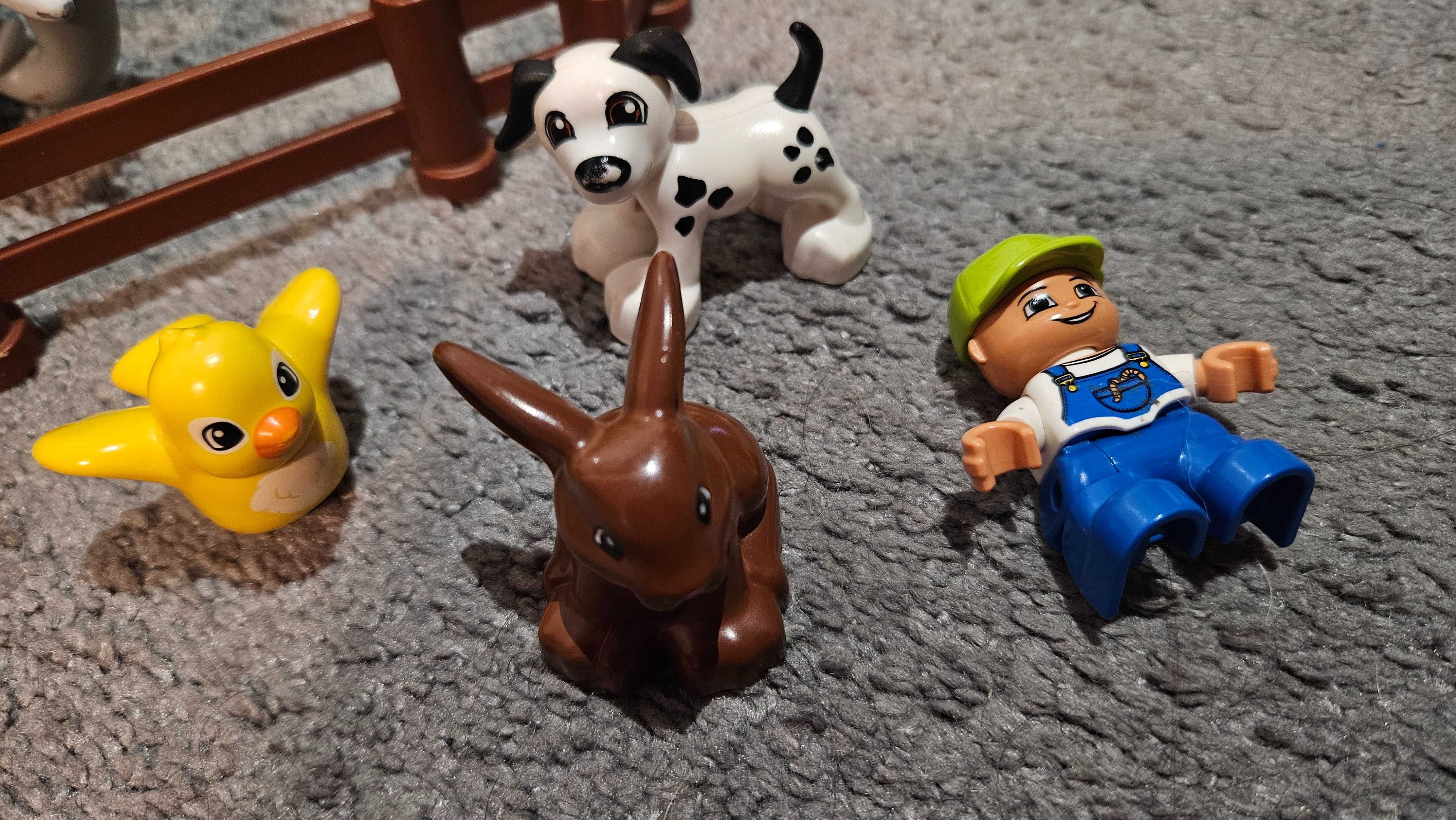 Lego DUPLO Karmienie w ZOO (5634) duży zestaw