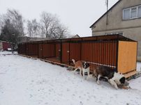 Kojec dla psa 16x2, kojce dla psów klatka szeregowa 4x2