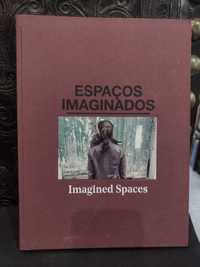 Espaços Imaginados - João Silvério e Ana Anacleto