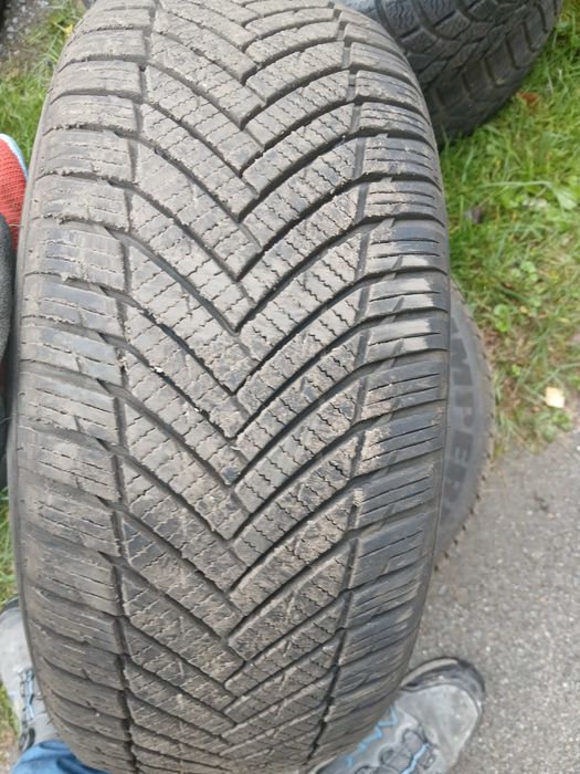 Opony wielosezonowe 185/55 r14