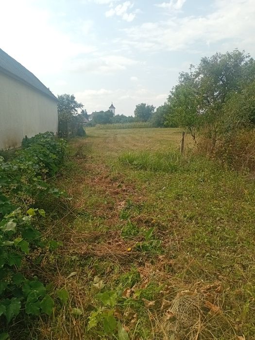 Дешевий будинок в с. Геча з великою ділянкою та садом