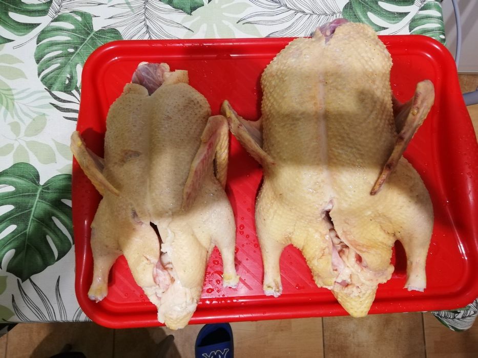 Kaczki francuskie tuszki